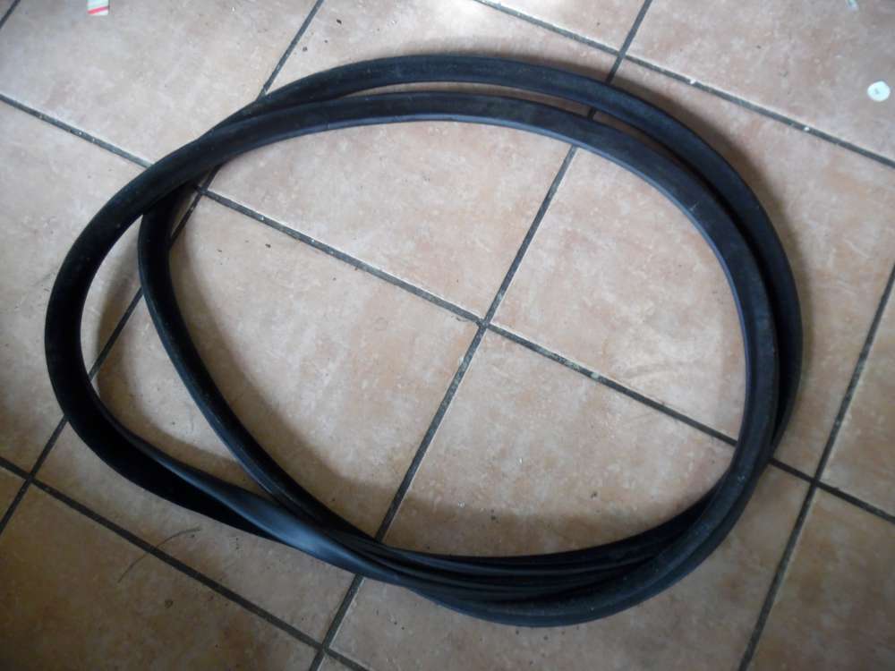 BMW 5er F10 Trdichtung Dichtung Vorne Links