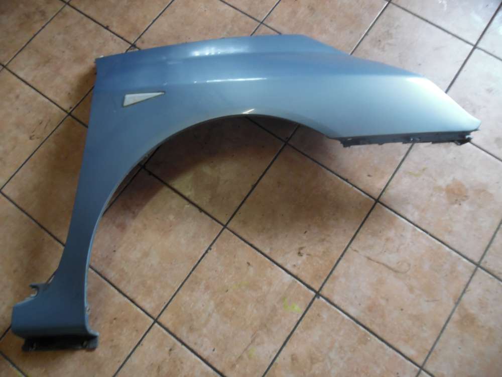 Renault Espace IV Kotflgel Recjts Hellblau : TED47