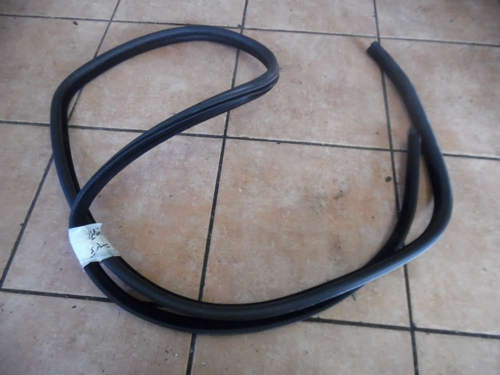 BMW 5er E61 Trdichtung Dichtung Hinten Links