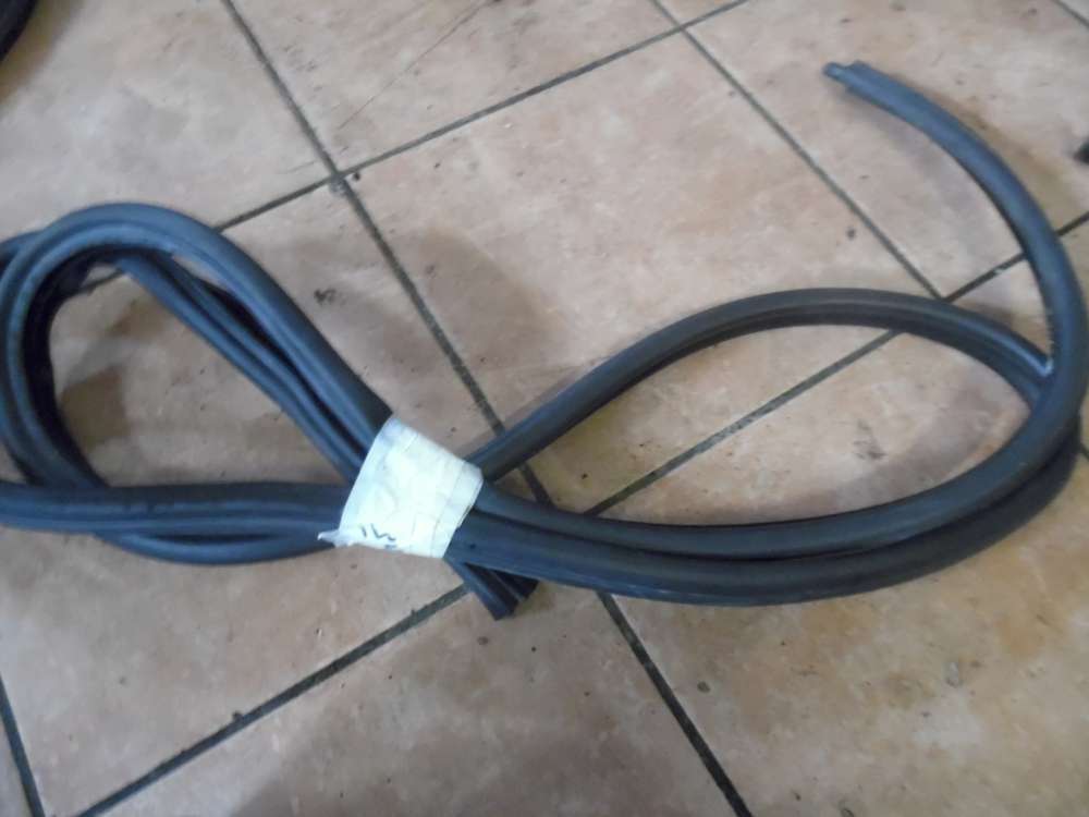 BMW 3er E91 Trdichtung Dichtung Vorne Links