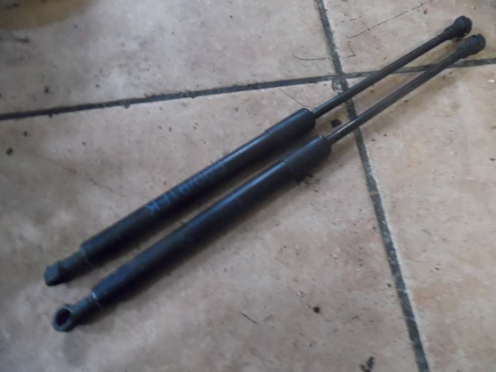 BMW 3er E91 Motorhaubedmpfer 7068550