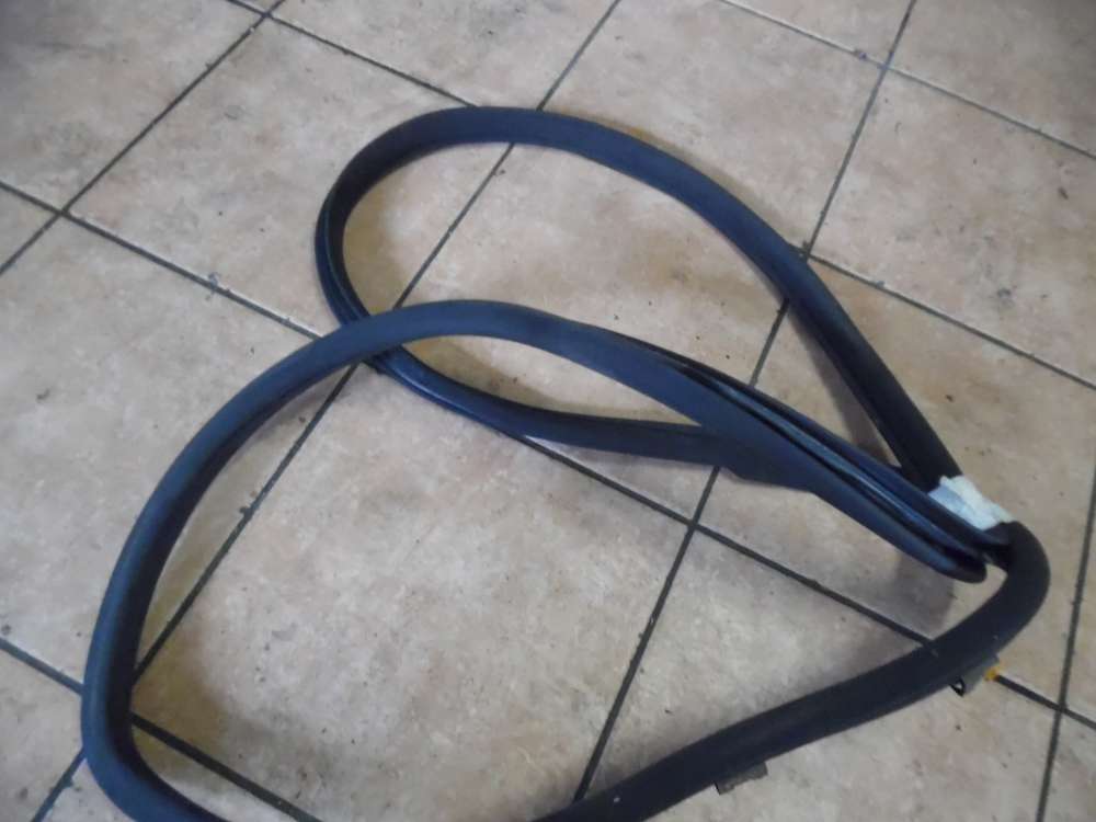 Mercedes-Benz C-Klasse W203 Trdichtung Dichtung Vorne Rechts