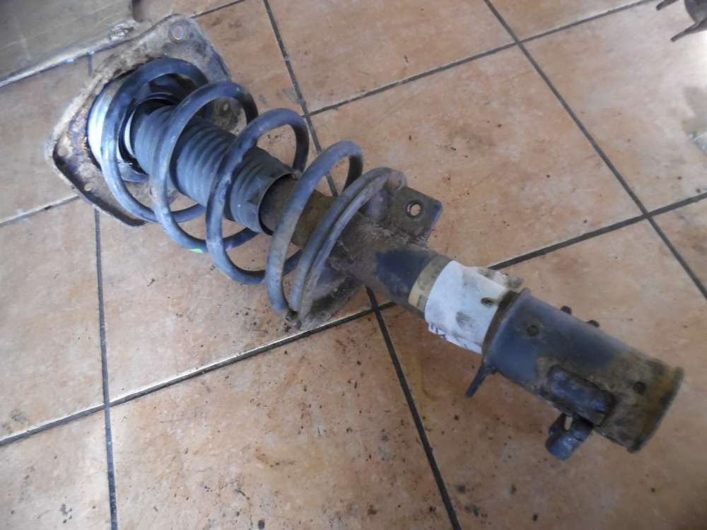 Peugeot 807 Stodmpfer Federbein Vorne Links