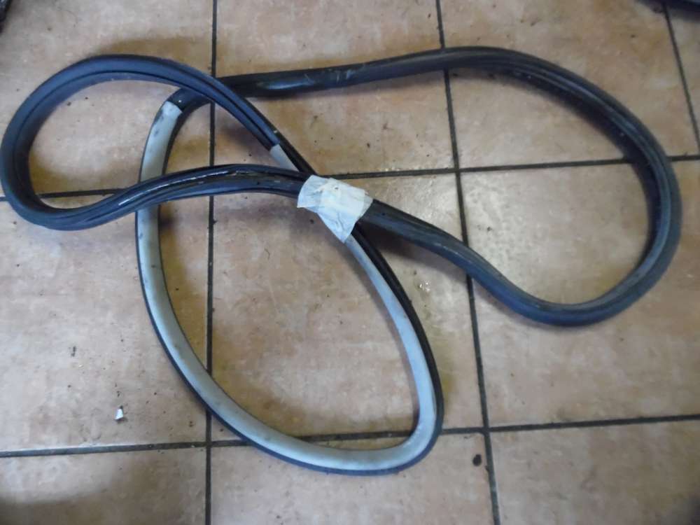 VW Passat 3B Trdichtung Dichtung Vorne Links