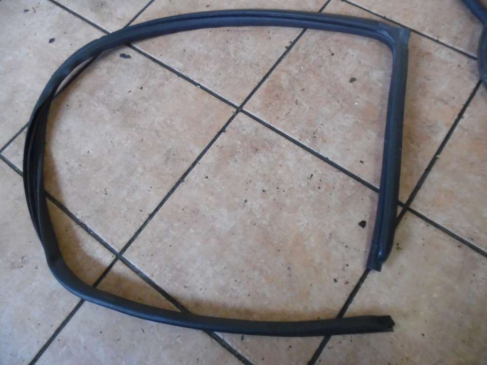 Mitsubishi Carisma T�rdichtung Gummidichtung Hinten Rechts