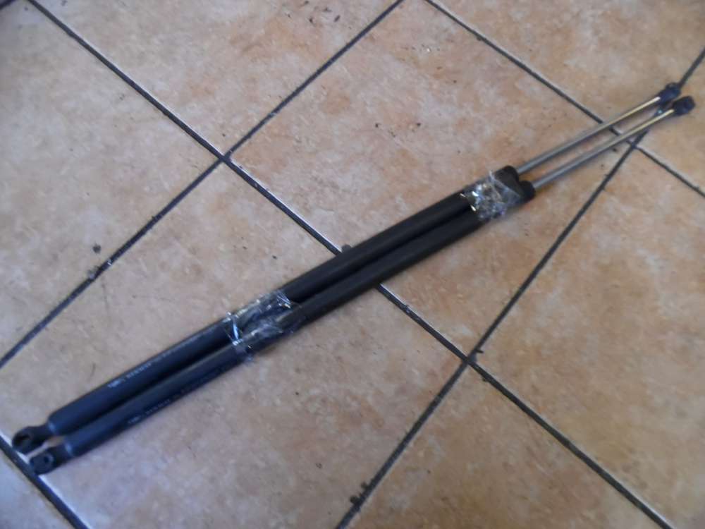 Renault Espace IV Heckklappend�mpfer 8200021974