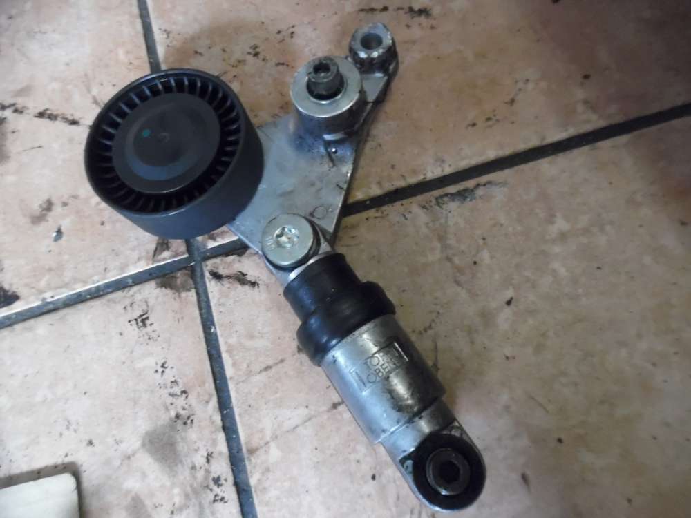 Renault Espace IV 3.0 dci Spannrolle mit Schwingungsd�mpfer