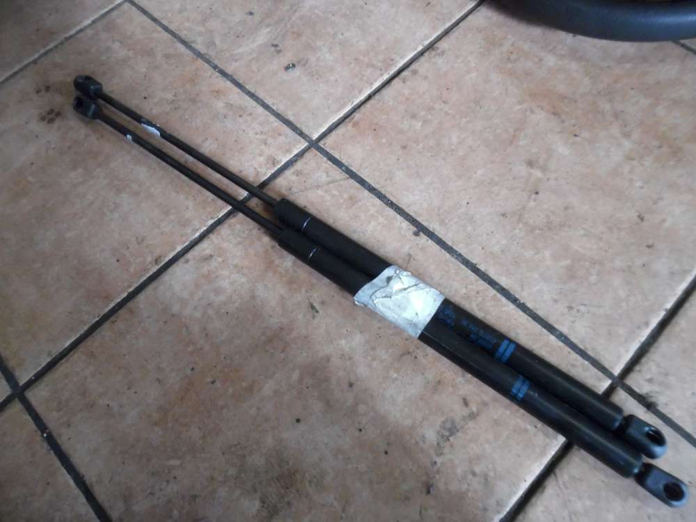 Ford Fiesta IV Heckklappend�mpfer 96FBB406A10BA