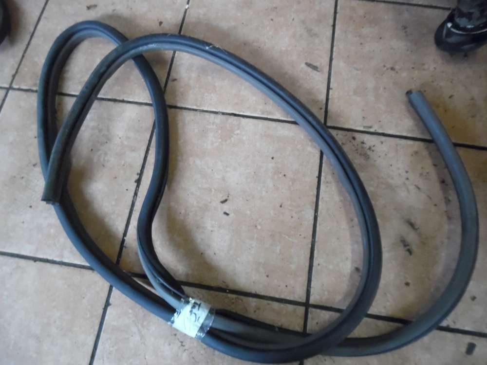 Chrysler PT Cruiser T�rdichtung Dichtung Vorne Links