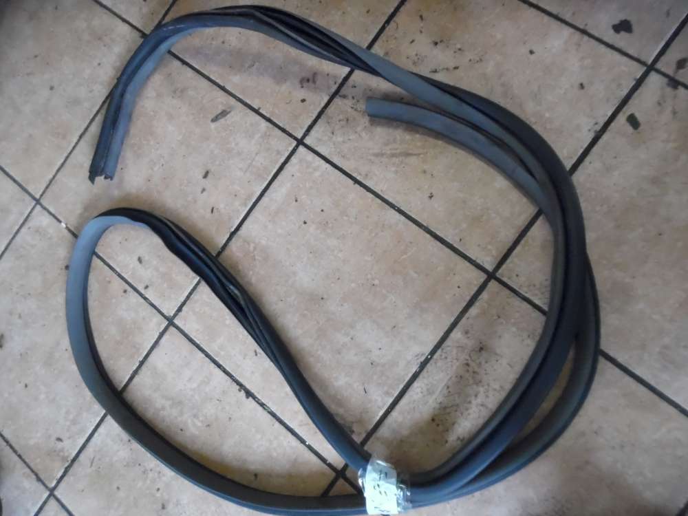 Chrysler PT Cruiser T�rdichtung Dichtung Hinten Links