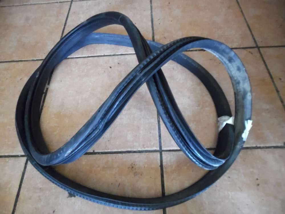 Mercedes-Benz B-Klasse W245 T�rdichtung Karosserie Hinten Links
