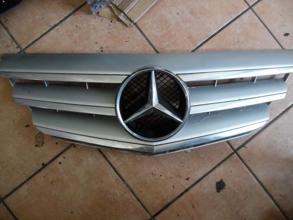 Mercedes-Benz B-Klasse W245 Frontgrill K�hlergrill A1698800883