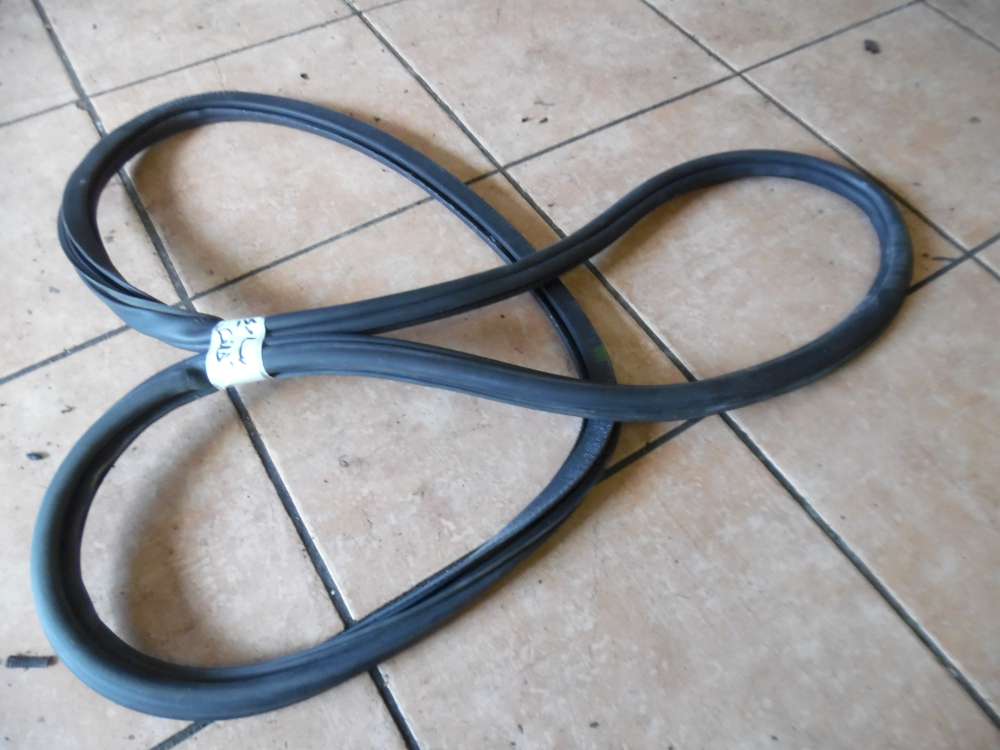 VW Polo V 6R T�rdichtung Dichtung Hinten Links